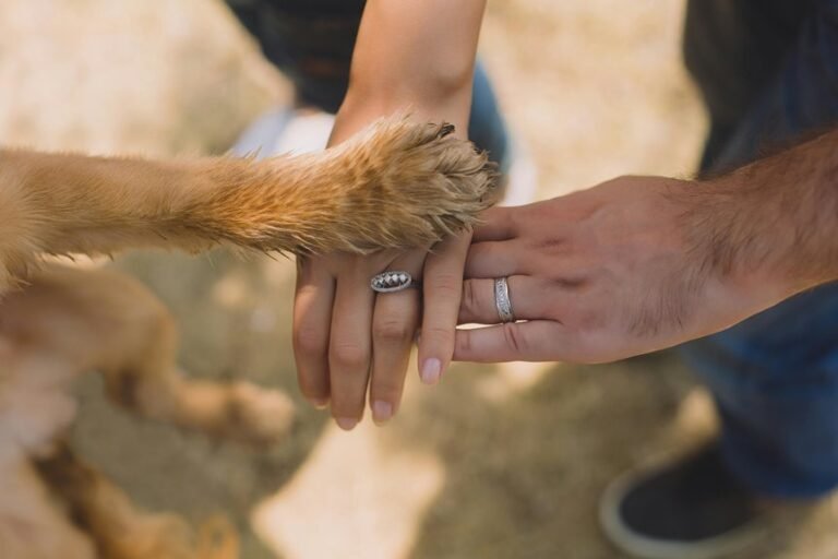 boosting loyalty via engagement