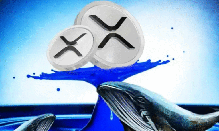 Are XRP Price Calculators Reliable? A Deep Dive into Their Accuracy